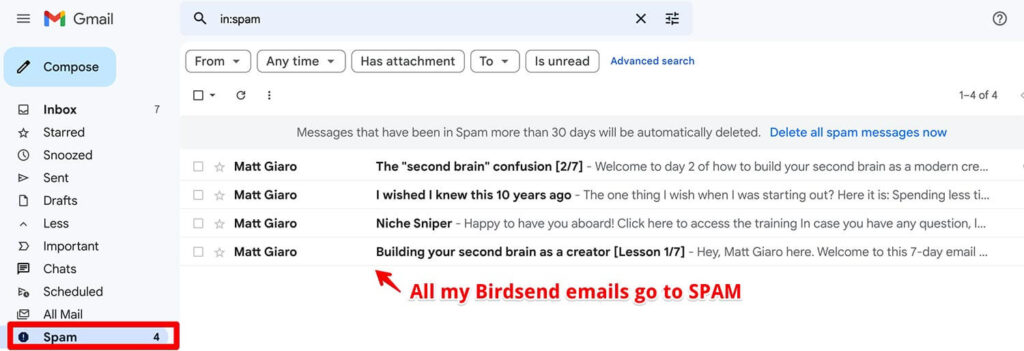 Emails sent by Birdsend autoresponder trapped in Spam folder
