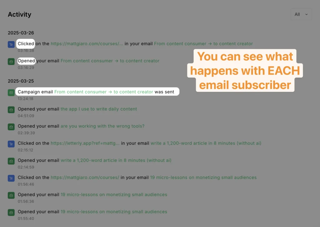 email subscriber tracking in mailerlite